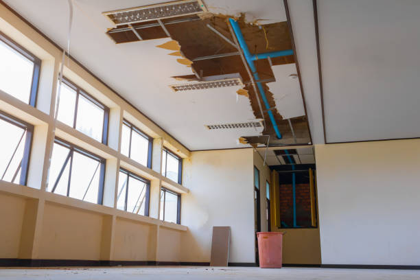 Best 24-hour water damage restoration  in Rincon Valley, AZ