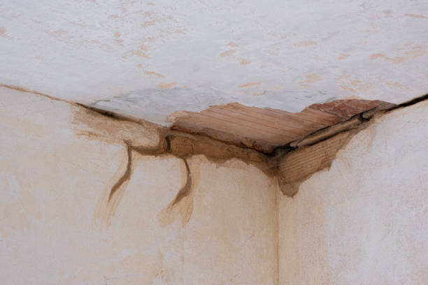 Best Water damage restoration near me  in Rincon Valley, AZ
