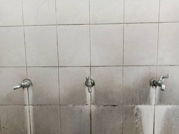 Best Emergency water damage restoration  in Rincon Valley, AZ