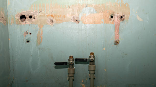 Best Water damage restoration near me  in Rincon Valley, AZ