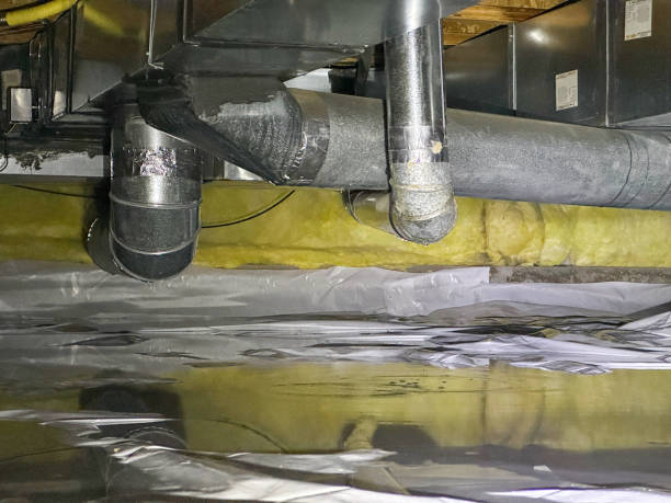 Best Mold removal after water damage  in Rincon Valley, AZ