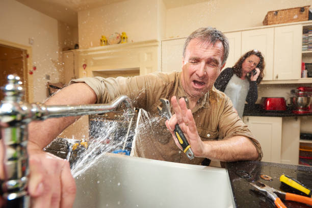 Best Water damage cleanup near me  in Rincon Valley, AZ